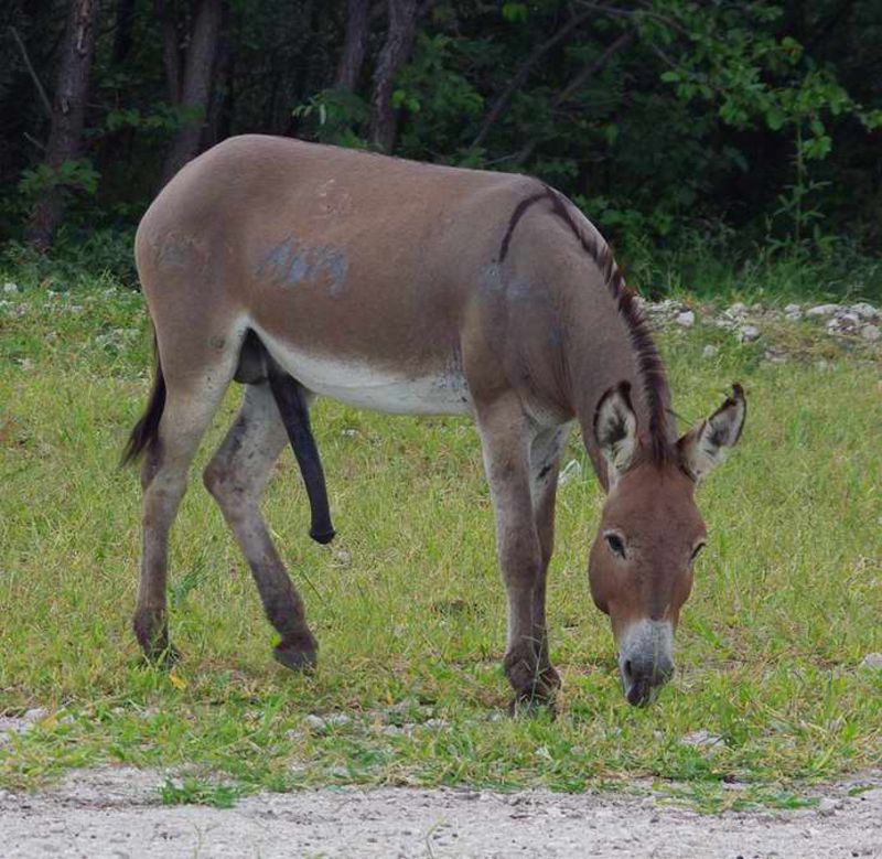 Obrázek #8 z 11