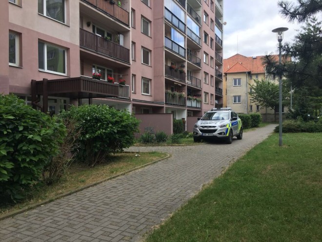 Obrázek #4 z 6