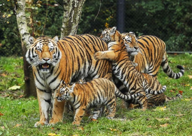 Obrázek #2 z 10