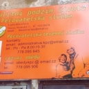 Kvalitní podzim života - Kvalitní podzim života 3 – foto AC