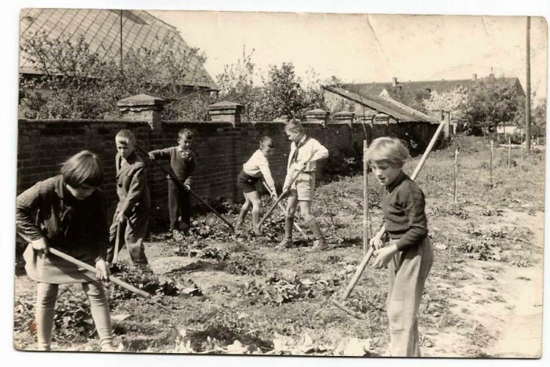 Obrázek #10 z 15