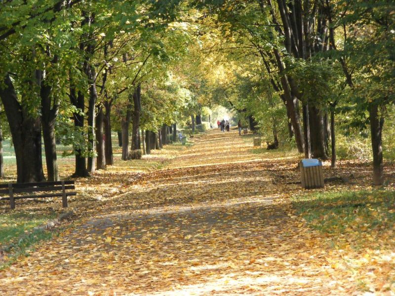 Obrázek #3 z 6