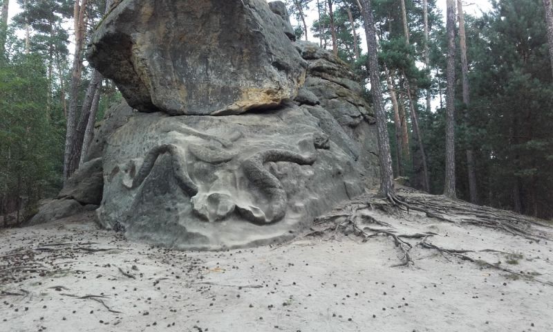 Obrázek #8 z 10