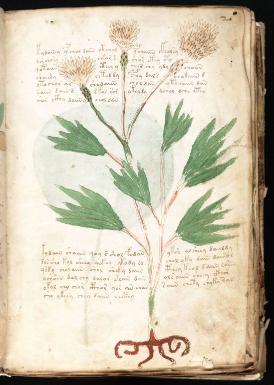 Obrázek #14 z 24
