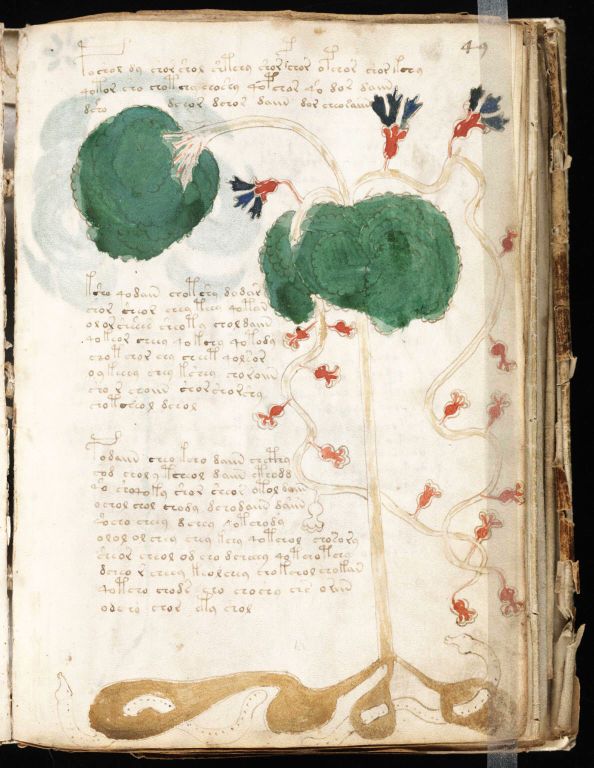Obrázek #16 z 24