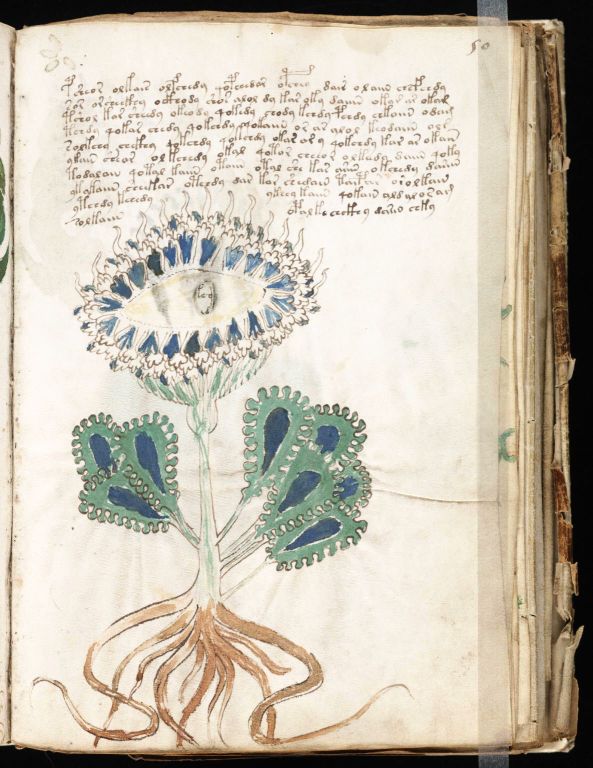 Obrázek #5 z 24