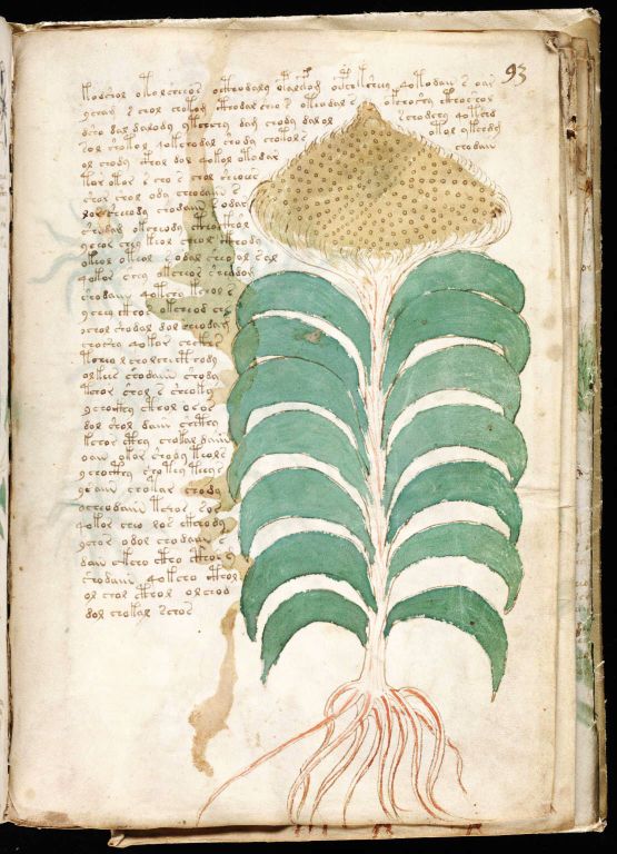Obrázek #18 z 24