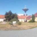 Zámek Roztoky výstava - Areál roztockého zámku 2 – foto AC