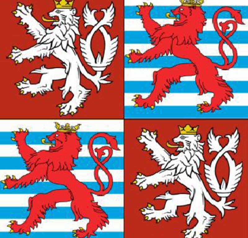 Obrázek #6 z 7
