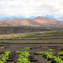 Kanárské ostrovy - lanzarote