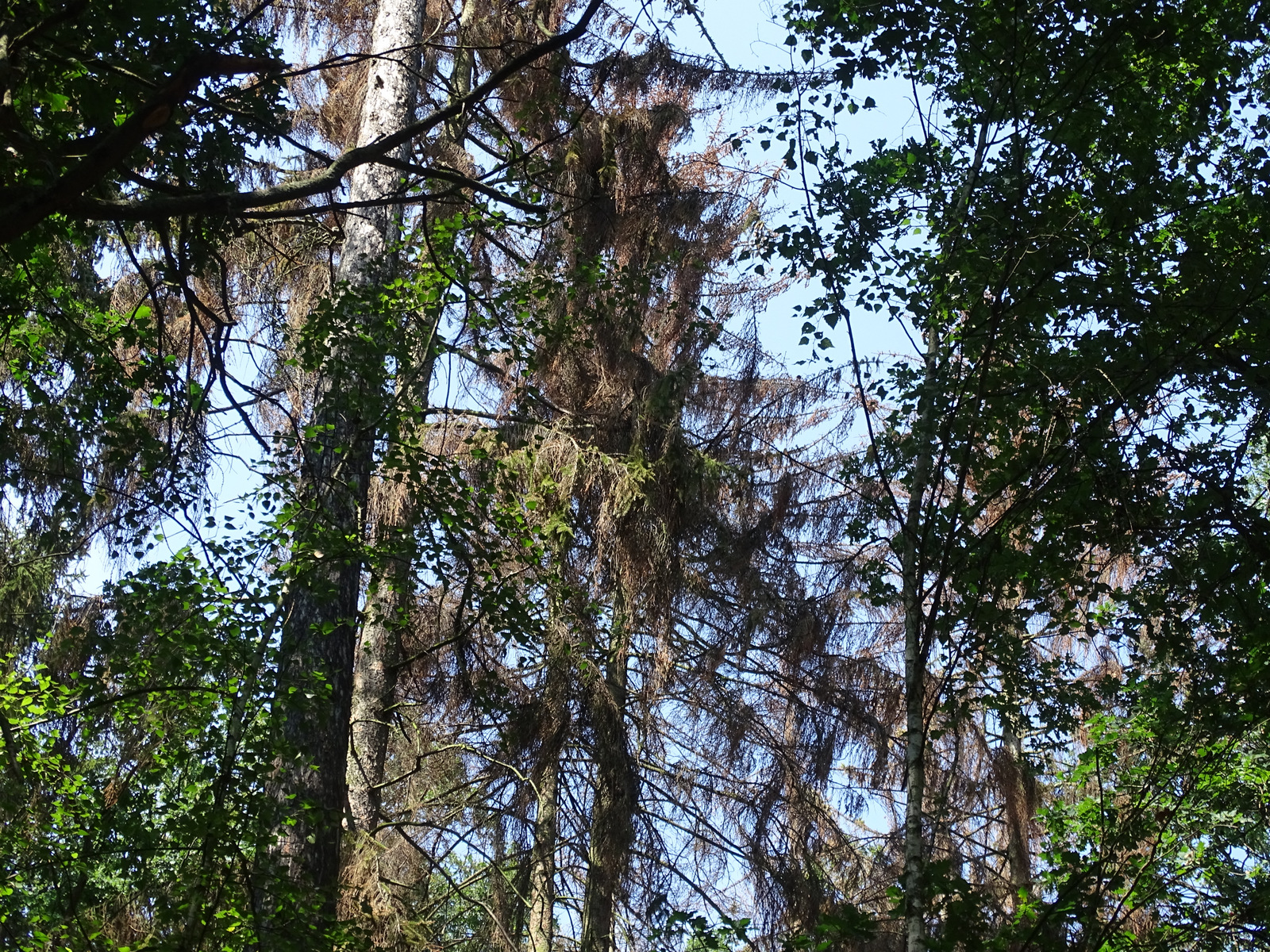 Obrázek #10 z 10