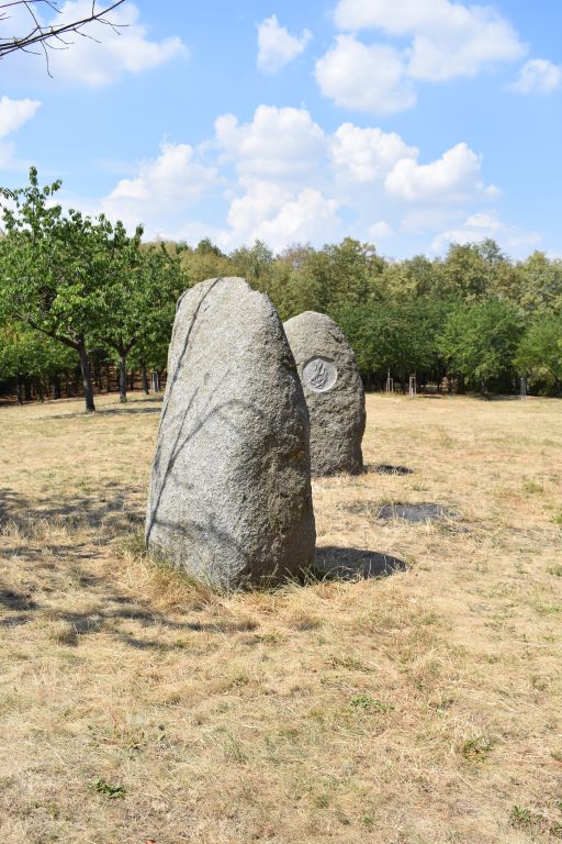 Obrázek #6 z 14