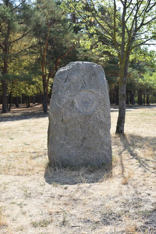 Obrázek #13 z 14