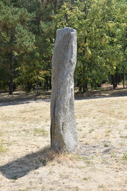 Obrázek #12 z 14