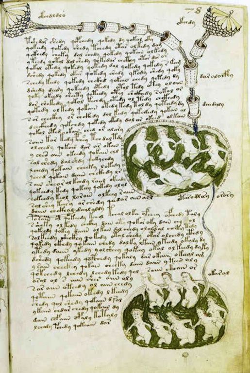 Obrázek #7 z 24