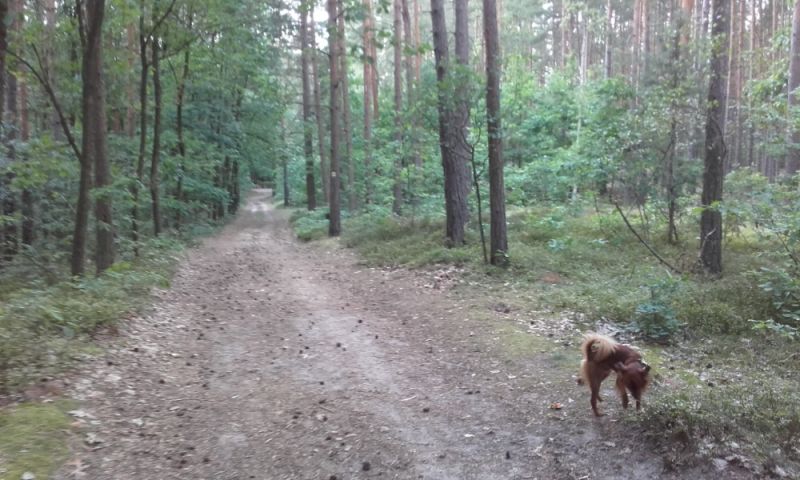 Obrázek #2 z 11
