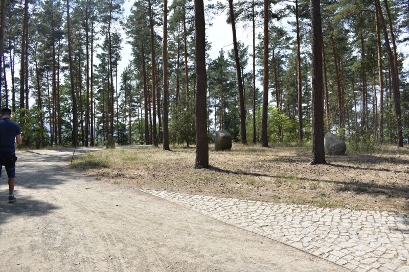 Obrázek #7 z 38