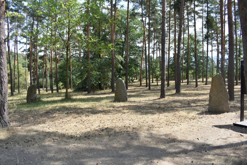 Obrázek #8 z 38