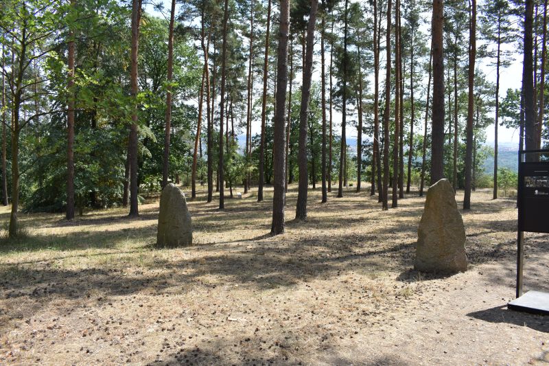 Obrázek #9 z 38