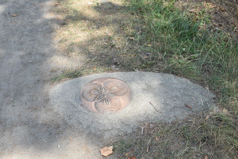 Obrázek #4 z 38