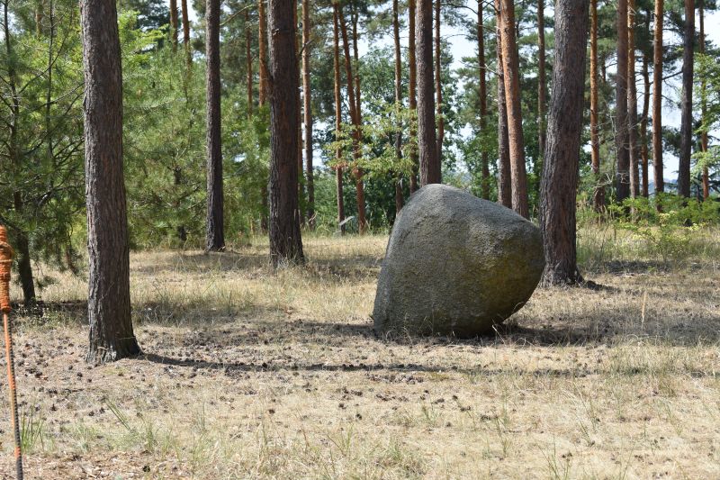 Obrázek #12 z 38