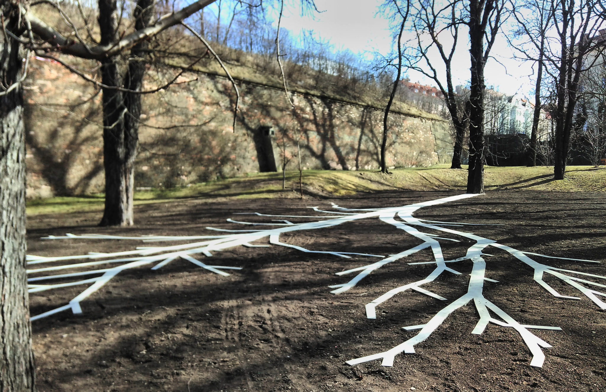 Obrázek #5 z 6