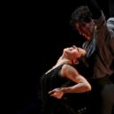 Flamenco - Flamenco