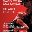 Flamenco - Flamenco plakat
