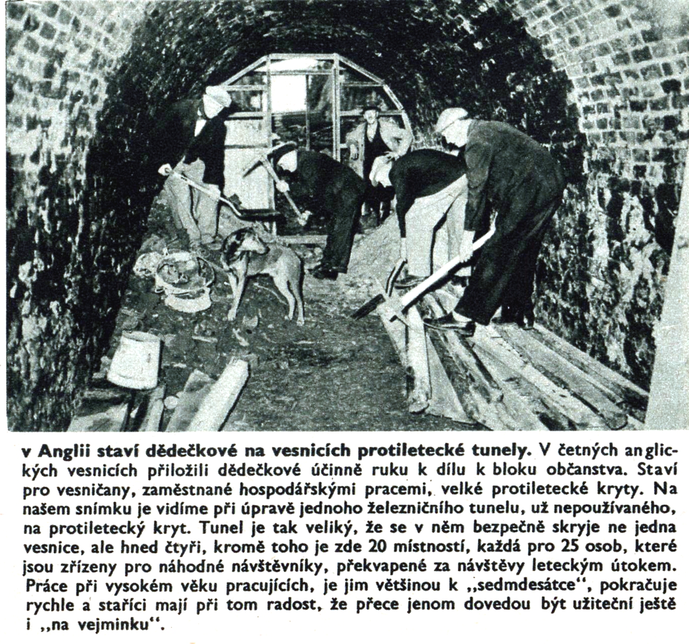 Obrázek #13 z 34