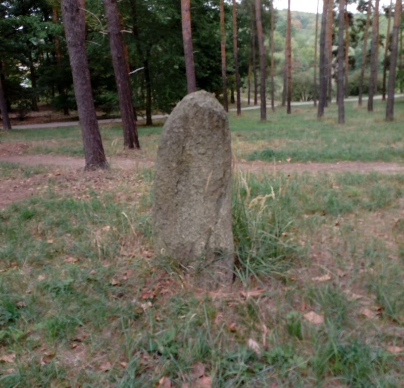 Obrázek #21 z 38