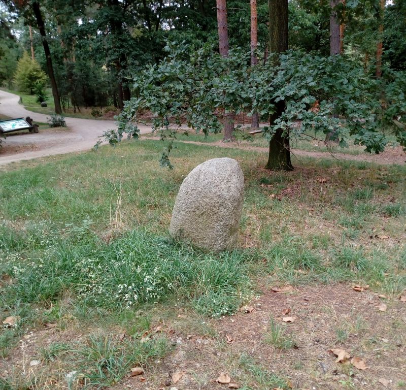 Obrázek #23 z 38