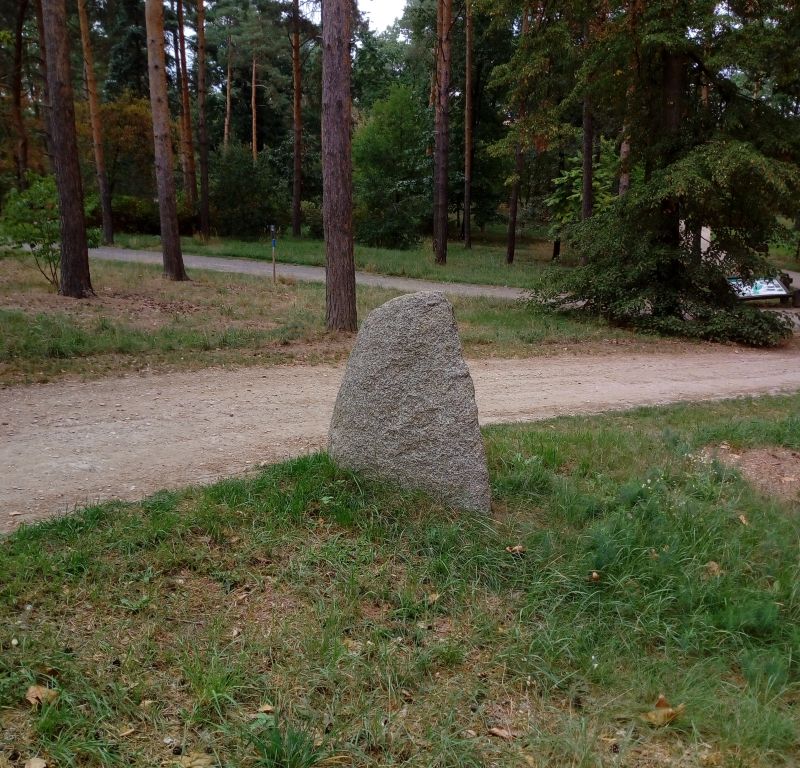 Obrázek #25 z 38