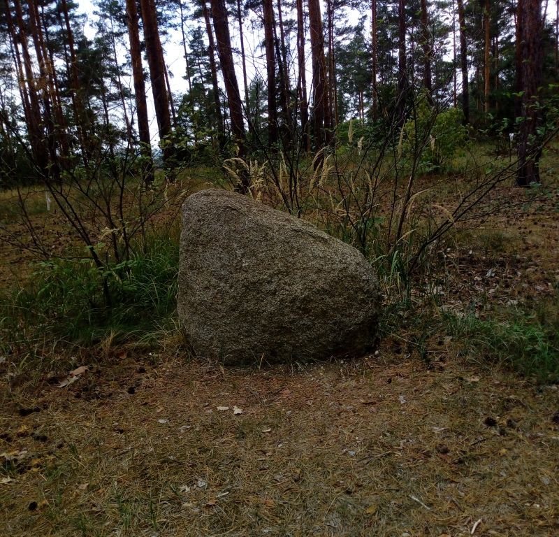 Obrázek #28 z 38