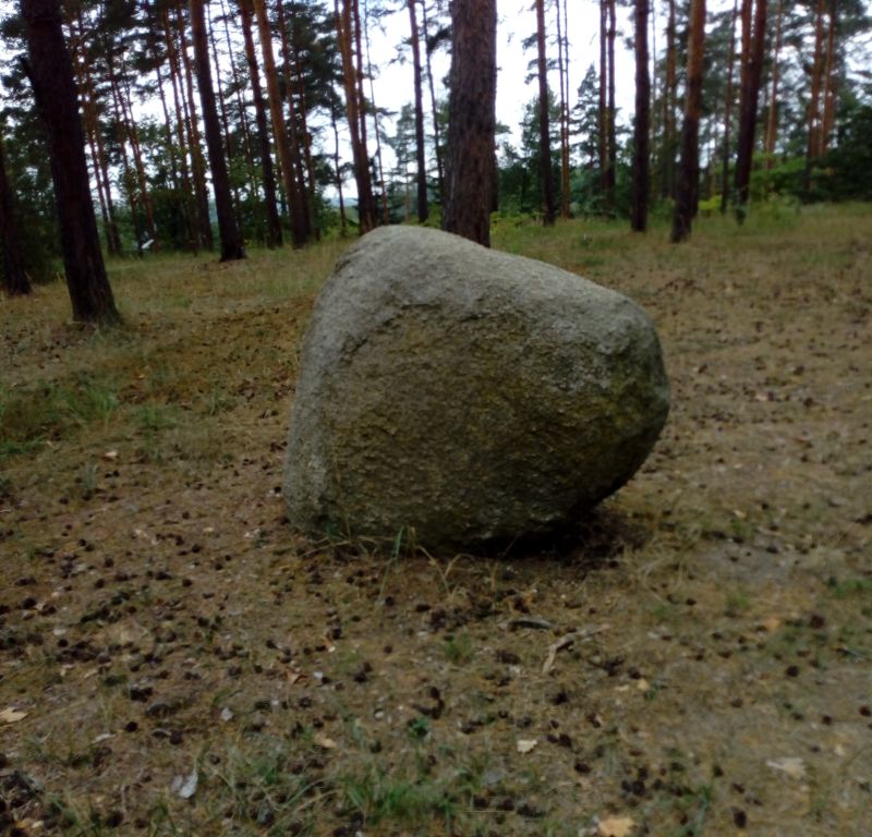 Obrázek #29 z 38