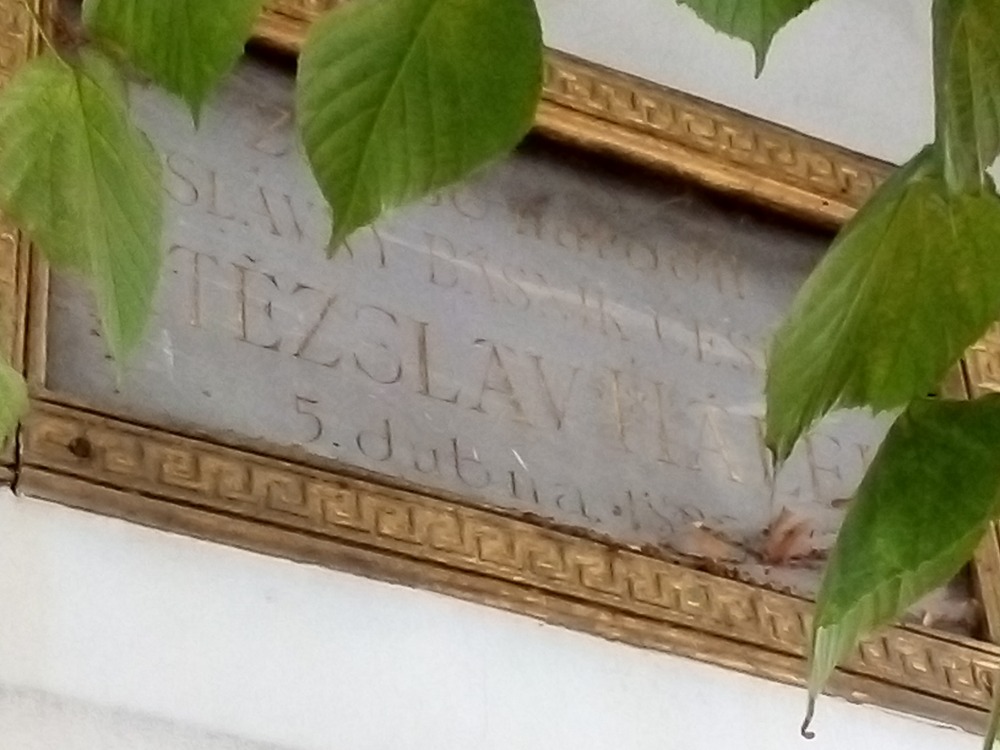 Obrázek #19 z 19