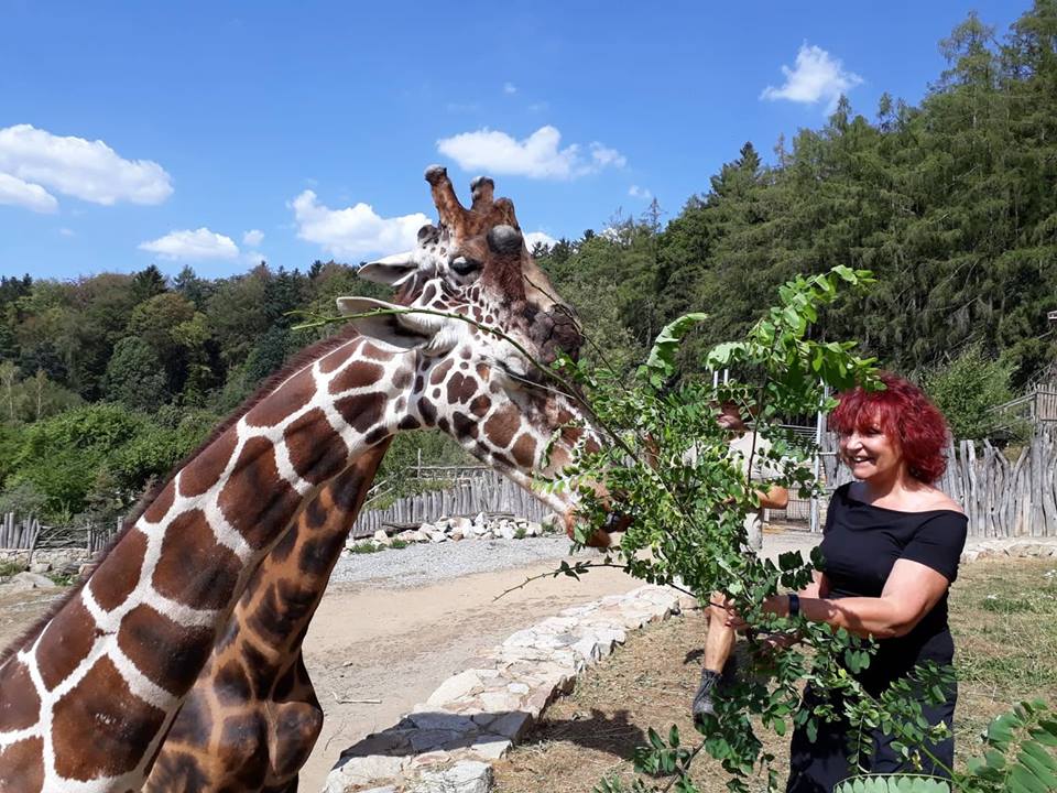Petra Janů nakrmila žirafy, rozhodla se pro adopci a odjela na dovolenou!