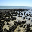 5 nejkrásnějších pláží na světě - Shark Bay, Austrálie