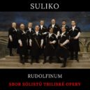 Suliko v Praze - Suliko plakat Rudolfinum