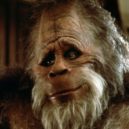 Kevin Peter Hall - hall-harry