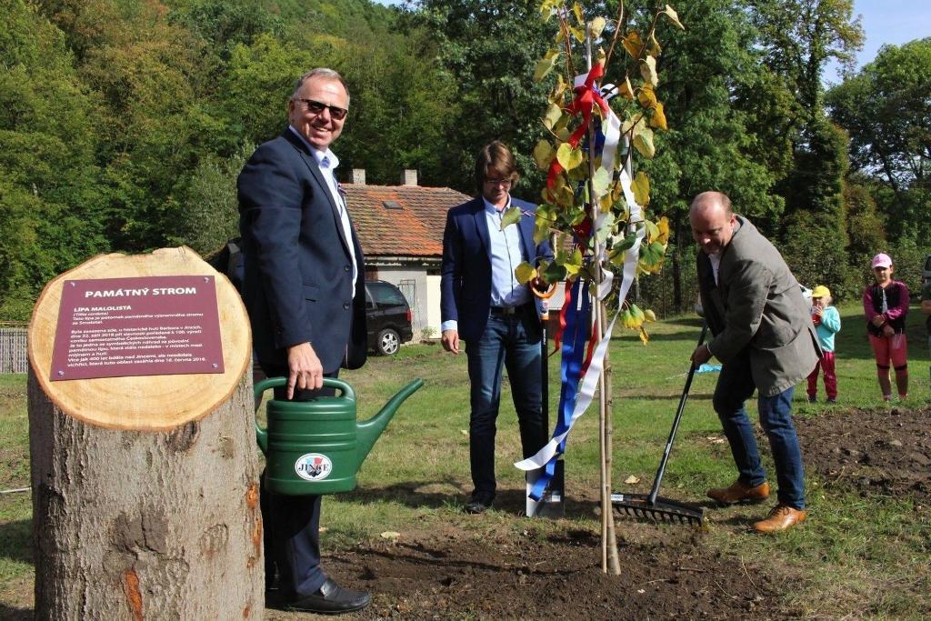 Památná lípa v Jincích bude připomínat 100. výročí založení republiky