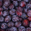 švestky - plums-2724160_1920