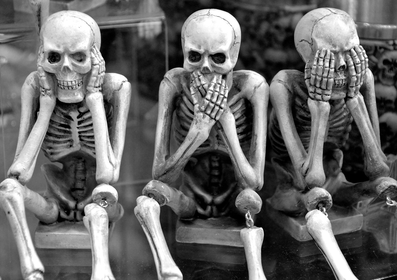 Osteoporóza jako tichý zloděj kostí. Co jíst, aby se vám vyhnula obloukem?