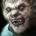 Fyziognomie - 26 – Grimm Wiki – Fandom 4