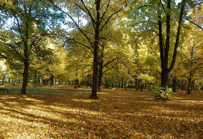 Ve slánském lesoparku Háje vzniká lanový park, bude mít 76 metrů