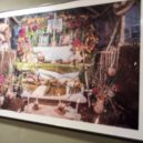 Mexické dušičky - mexické dušičky 9 – foto AC