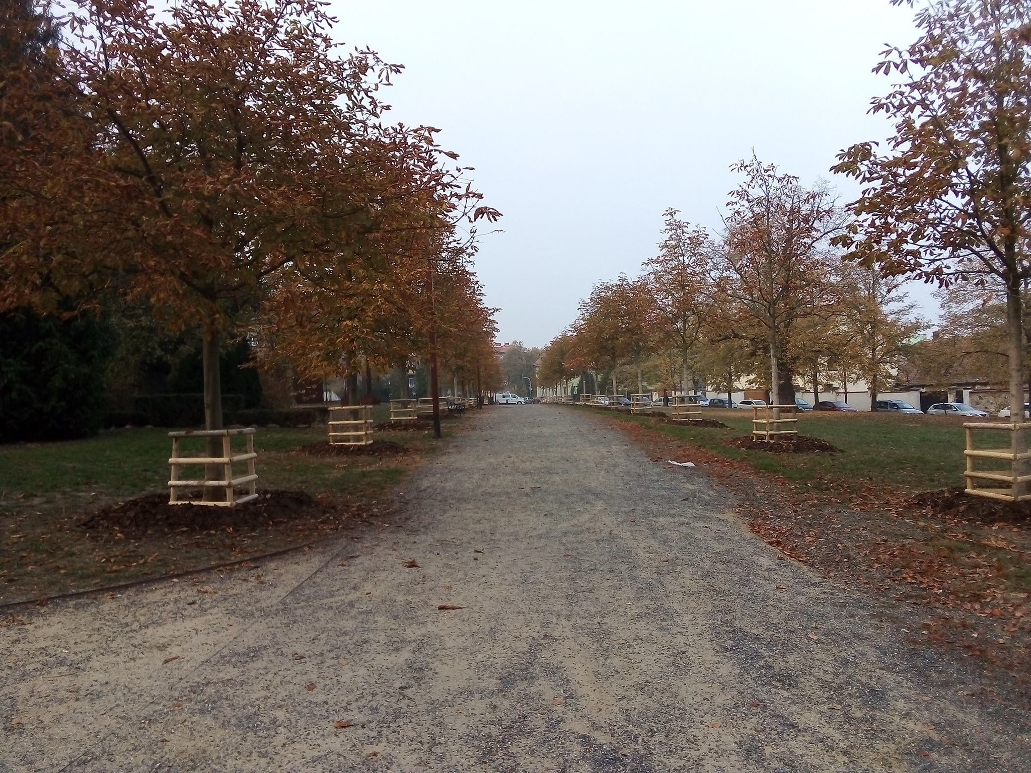 Obrázek #5 z 11