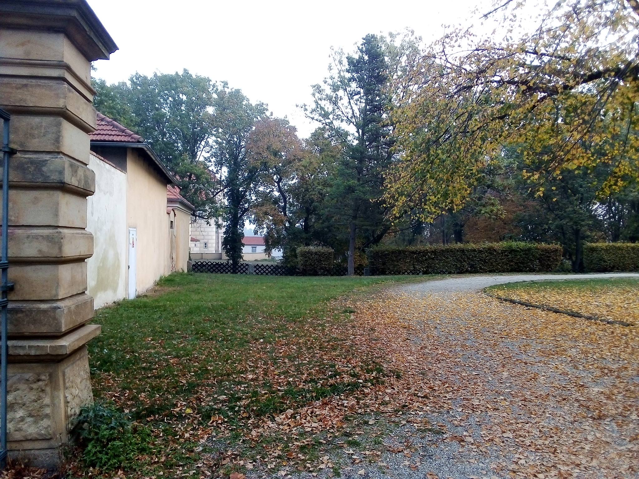 Obrázek #11 z 11