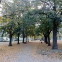 Zámecká zahrada Brandýs - zahrada zámek Brandýs – foto AC