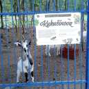 Komunitní zahrada Kukučínova - 1 tuč