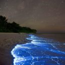 Fosforeskující moře na ostrově Vaadhoo, Maledivy - Moře plné hvězd, Vaadhoo, Maledivy